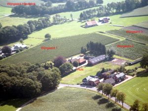 luchtfoto wijngaard