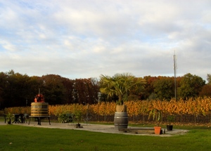 Herfst de bladeren worden bruin