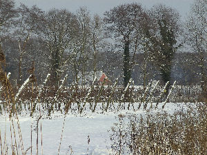 Sneeuw in de wijngaard - Spieker Kossink